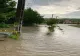 FOTO | VIDEO Ploile torențiale au făcut ravagii în mai multe localități din Mureș - gospodării și drumuri INUNDATE