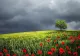 Prognoza meteo pe o lună, actualizată. Schimbări RADICALE - cum va fi vremea până pe 7 IUNIE