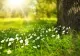 Prognoza meteo, actualizată: FENOMENE NEOBIȘNUITE, după temperaturile de vară