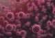 Coronavirusul, transmis prin celulele sistemul imunitar! CUM poate fi STOPATĂ infectarea - Descoperirea care poate schimba pandemia