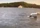 O ambulanță furată a ajuns în Golful Irondequoit, după o urmărire ca-n filme de peste 160 de km. Polițiștii nu au reușit să-l oprească pe șofer
