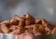 Carne GRATUITĂ un an pentru persoanele care se vaccinează anti-Covid. Ofertă inedită în SUA