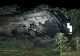 Accident mortal în Giurgiu, cu 4 victime - un tânăr de 26 de ani s-a răsturnat cu mașina