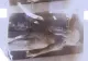CIA a confirmat autenticitatea filmului cu autopsia "extraterestrului" de la Roswell
