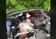 VIDEO – Surpriză mare sub capota mașinii – Motivul pentru care nu mai mergea motorul