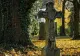 Morminte "profanate" DE URS, în Harghita: Nu s-a atins de pietrele funerare. Mănâncă flori și lumânări
