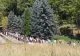 Scene șocante la Mănăstirea Prislop - ce au văzut credincioșii la mormântul lui Arsenie Boca