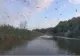VIDEO | Moment rar: Spectacolul efemeridelor, filmat în Delta Dunării