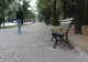 Tânăr amendat de poliție și pus să măture cojile de la semințele pe care le mâncase într-un parc. Alți doi amici ai săi, amendați și ei