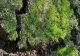 Alunecare de teren în Prahova, la 10 metri de o casă în care locuiesc două familii
