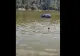 Răsturnare de situație: Șoferița care a sărit cu mașina într-un lac din Iași a fost reținută - Care este motivul