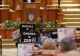 Scandal în Parlament la moțiunea împotriva lui Cristian Ghinea: PSD amenință Puterea cu plângeri penale