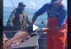 VIDEO – A despicat peștele și a găsit ceva incredibil în burta sa. Se afla acolo de ani de zile