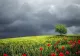 Prognoza meteo 18 iunie. Averse, grindină și vijelii. Când se încălzește