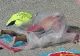 Imagini surprinzătoare, în Eforie Nord. Un bărbat se bronzează într-un sac de plastic