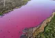 PANICĂ în rândul populației după ce un lac din Patagonia a devenit ROZ peste noapte. Explicația pentru STRANIUL incident