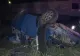 Microbuz cu călători, impact nimicitor cu un autotren, în jud. Teleorman: 5 morți și 3 răniți. Planul ROȘU, activat