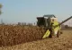 Comisia Europeană va reveni asupra sumei de 10 milioane de euro destinată fermierilor din România, la solicitarea lui Klaus Iohannis