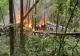 Tragedie aviatică: mai mulți MORȚI, după ce AVIONUL s-a prăbușit și a luat foc