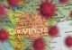 Distribuția CORONAVIRUS în România: București are cea mai mare rată de infectare - Cum stă cu incidența fiecare județ - TABEL