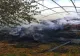 Incendiu VIOLENT la două hale pline cu furaje din județul Giurgiu. Nord gros de fum, intervin 5 autospeciale