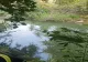 TRAGEDIE: Bunicul, mama și copilul în vârstă de 8 ani s-au ÎNECAT în Motru (VIDEO) 