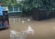 VIDEO - Inundații devastatoare în Neamț - Zeci de case inundate, oameni evacuați
