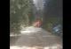 Incendiu MAJOR la Raliul Sibiului: O mașină cu doi tineri, în FLĂCĂRI, în timpul cursei - Imagini terifiante