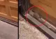 ȘOARECELE de pizzerie, identificat la Galați, lângă Spitalul județean - Imagini halucinante VIDEO