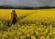 Prognoza meteo pe o lună, actualizată. Schimbări dramatice - cum va fi vremea până pe 9 AUGUST
