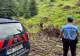  Urșii continuă să își facă simțită prezența în județul Harghita: 8 apeluri la 112, în weekend, oamenii PANICAȚI