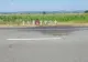 Imaginea DURERII, pe marginea unui drum din Bacău: o coroană şi 7 cruci, în locul unde au murit 7 oameni 