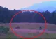 VIDEO | Întâlnire de gradul zero în pădure. Cele mai puternice animale s-au întâlnit în Caraș Severin