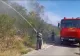 Incendiu de proporții la o cale ferată! Vegetația uscată a ars pe o distanță de 10 km - De unde a pornit FOCUL