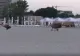 Șezlongurile așezate ilegal chiar în buza mării riscă să devină istorie: Administratorii, obligați să le strângă