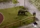 VIDEO  / Noi ALERTE de urs în județul Harghita: S-au efectuat 9 apeluri la 112 și tot atâtea intervenții 