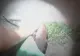VIDEO | Un nou scandal în poliția americană. Bărbat de culoare, bătut de 18 ori cu lanterna în cap, în doar 24 de secunde