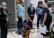 Al DOILEA aeroport din România în care câinii special dresați depistează pasagerii infectați COVID-19 - Anunțul ministrului Lucian Bode 