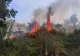FOTO + VIDEO | Incendiu de proporții pe insula Zakynthos. Circulație blocată, oameni în alertă