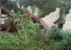 Prăpăd în țară, după furtunile extreme: acoperișuri luate de vânt, mașini distruse, monumente funerare - scoase din pământ - VIDEO