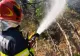 Incendiu în Grecia, în apropierea Atenei: Mai multe locuințe EVACUATE
