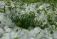 Avertisment meteo - COD GALBEN de fenomene EXTREME periculoase. Zona lovită puternic de furtuni de GHEAȚĂ