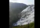 VIDEO | Incendiu devastator într-o pădure din Vâlcea. Au ars 4 hectare cu puieți de brad și copaci tineri 