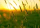 Vremea 6 septembrie - Surpriză mare de la meteorologi - Ce se întâmplă cu temperaturile săptămâna asta