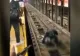 Momentul în care un bărbat căzut pe şinele de la metrou este salvat de un poliţist din Statele Unite | VIDEO - Imagini cu un puternic impact emoțional