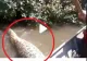 VIDEO – Mergeau cu barca pe râu când a apărut un monstru uriaș – Puțin a lipsit până la o tragedie