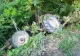 Sfârșit TRAGIC pentru un bărbat de 41 de ani. A murit după ce a căzut de pe un tractor