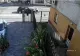 Imagini șocante, în Satu Mare: pietoni spulberați pe trecere. Șoferița vinovată a încurcat pedalele