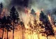 Mai multe regiuni din Rusia, afectate de incendii extreme. Mobilizare uriașă a pompierilor