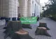 VIDEO | Protest cu buturugi în fața Ministerului Mediului. Care sunt nemulțumirile